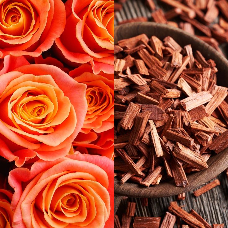 Sandalwood Rose Fragrance